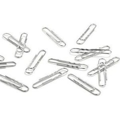 Durable Paper Clip Metal 100 PcS